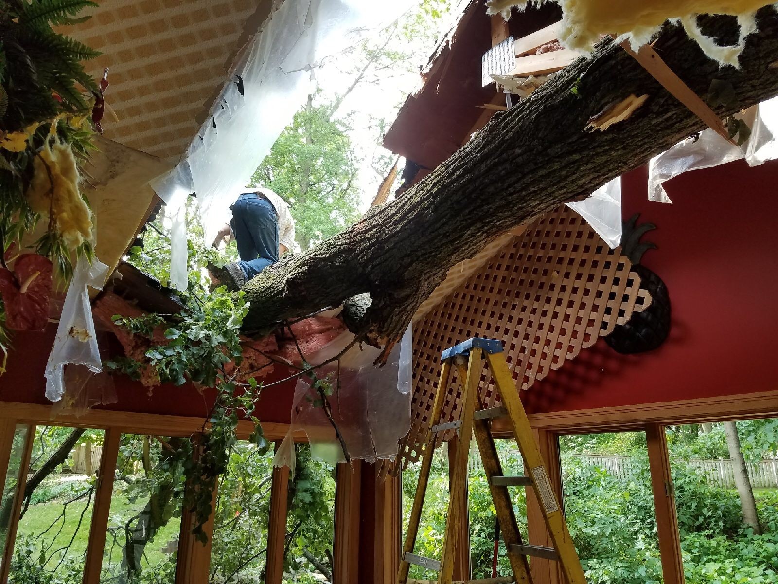 Tongen Tree & Snow project in the west metro area of the Twin Cities